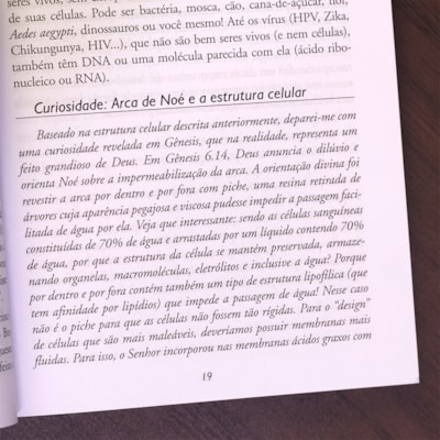 image_37b52cb1-669e-4664-9025-08796393cbd8