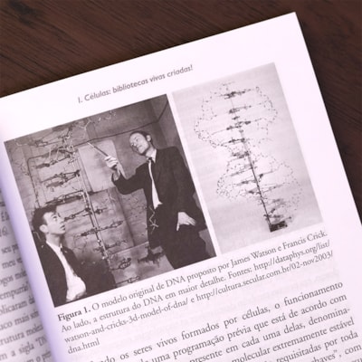 image_156a190f-63c3-476c-a8ad-97144dd3c92a