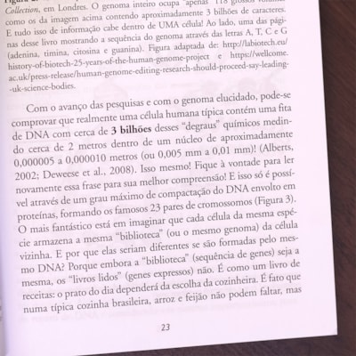 image_9668e719-523f-4cda-9ac2-fbbae1df9e8c