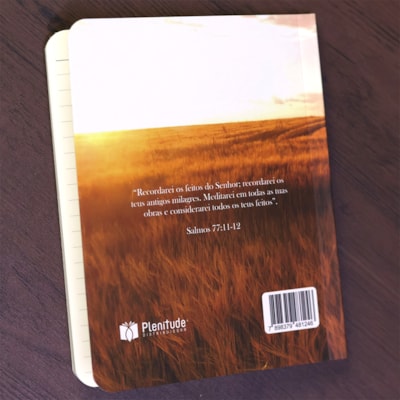 image_377cf0b3-c23b-4ddf-b609-501036b99b52