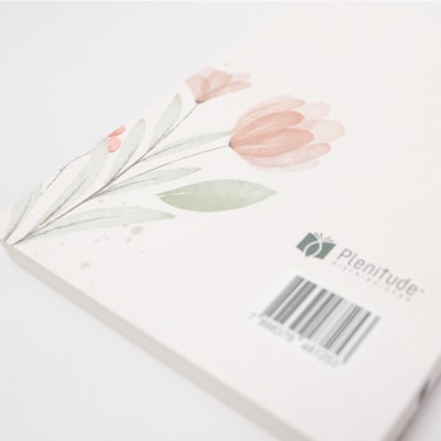 image_97e32f87-84f4-48ff-84dc-e6f4e9cf63ee