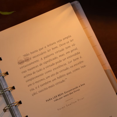 image_e1ad6d86-e635-4ac0-b16e-aa780650f3be