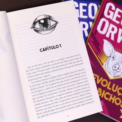 image_66c2ad95-3cdf-422d-9149-3c618306d719