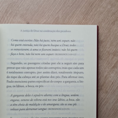 image_65c47e32-0031-4a40-8cf3-7e0df9a494b2