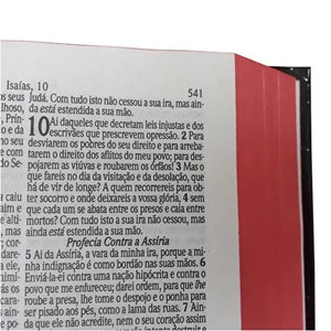 Box Evangelismo 10 Bíblias Sagrada Média Jesus | ARC | Harpa Avivada e Corinhos | Capa Dura Branca