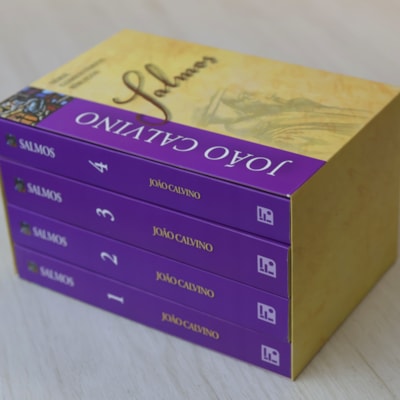 image_b0698c98-b017-4231-b3eb-a4812782f61d