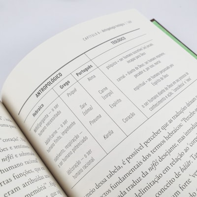 image_16e8c692-f0f5-42a3-8d9b-04f6d6f63d98