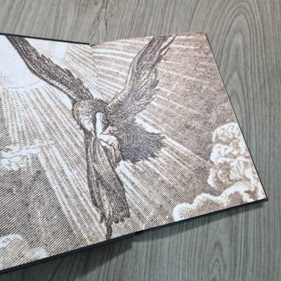 image_d2597e64-6ede-4c8e-b999-296a8eaa5a1d