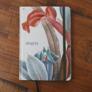 Segunda imagem do produto Caderno Moleskine | Com Pauta | Capa Alegria