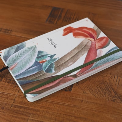 image_467f1e0c-73fd-4b55-b477-84512328020e