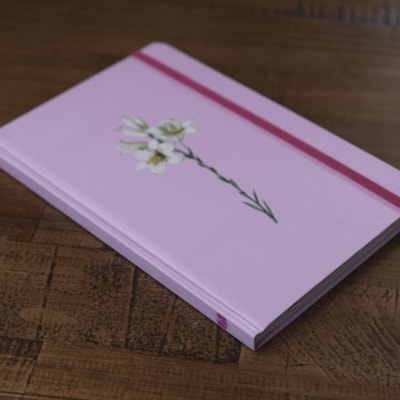 image_0d412045-65cf-474b-92be-167e5ea1d58e