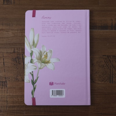 image_906e6e7e-ddee-4f7e-a4fb-5ba58af3242c