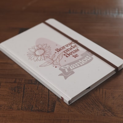 image_40708a15-33c8-4b2c-ac1b-f3c2ed56d180