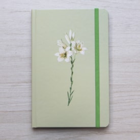 Segunda imagem do produto Caderno Moleskine | Com Pauta | Lírios