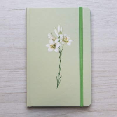 image_b4c02a50-7cbf-433e-a4ad-4ab1241de70b