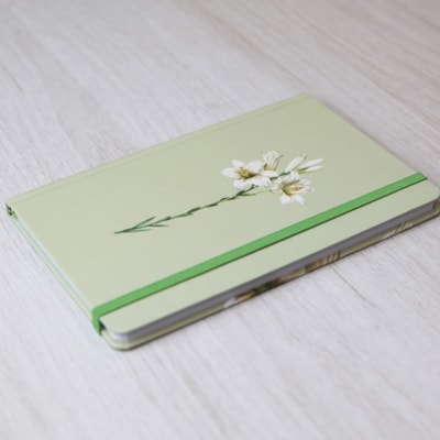 image_7f74774e-7b3d-4231-8ed7-6d4694dfa905