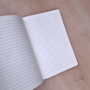 Caderno para Anotações com Pauta | Pense Fora da Caixa | Capa Dura