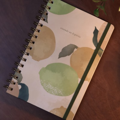 image_3b7d2b97-4e1e-4fc1-8253-21bd44bf0fac