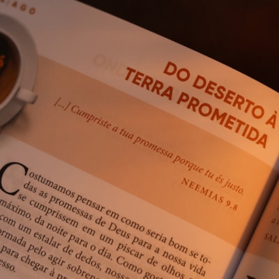 image_87bac234-b4ef-4035-a53c-9cde8d695df7