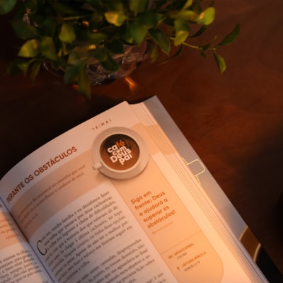 image_1b00b048-3ce2-4c71-bc90-cd613d8bf300