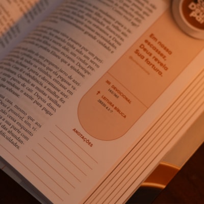 image_c21bc624-a96f-48d9-9917-0d5939ca731b