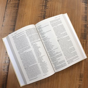 Caixa com 32 Bíblias | Bíblia Capa Dura NVI Coroa