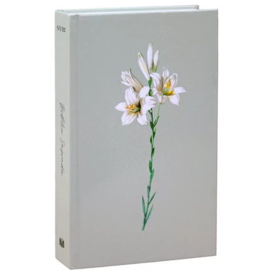 image_f37f58d2-e737-4f7b-9a3e-b93097c26dc8