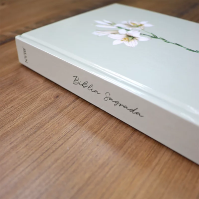 image_a89ab179-bac2-448b-93b8-ea995bb5eefc