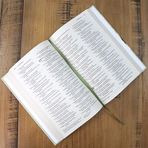 Caixa com 32 Bíblias | Bíblia Capa Dura NVI Lírios