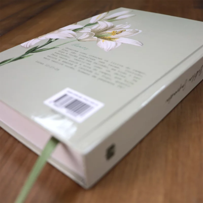 image_2379cd7f-4da5-4705-92f0-53e51bb7211b