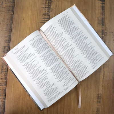 image_aa501f76-8f4f-45f2-9469-c0f6c238bbe8