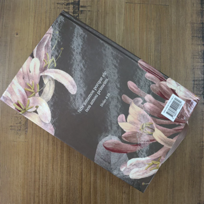 image_2d242037-9bdd-43ce-9d76-ec98a5bb38d2