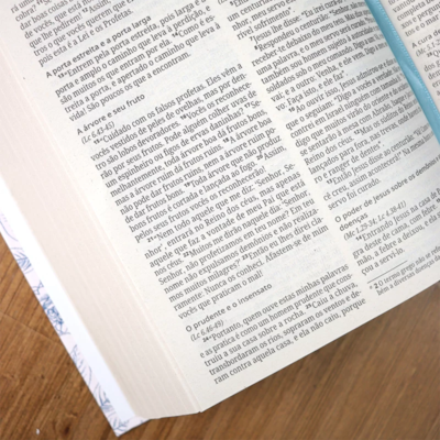 image_3e488961-31a8-433f-ad88-5391b5215a5c