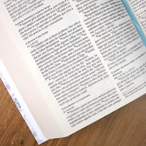 Caixa com 32 Bíblias | Bíblia Capa Dura NVI Primavera