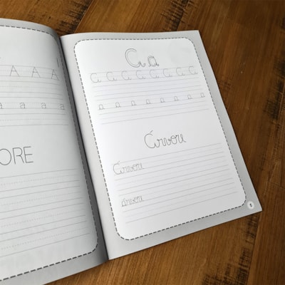 image_14ba9a9a-986e-469a-9e38-0b008d5b0005