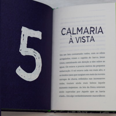 image_d3604f2d-af5f-41f3-ab5a-2faa8d24b6d9