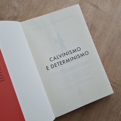 image_80ebbbe1-b8a2-404e-9982-3cdaa85367e2