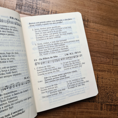 image_f8b0cbe3-8e22-43c1-b4b8-31f014dbb809