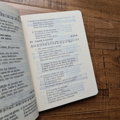 image_abb016dc-091f-4292-acf6-abe8c04da8fa