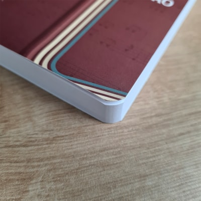 image_0a745790-772f-4af9-a81e-ca5eb234337c