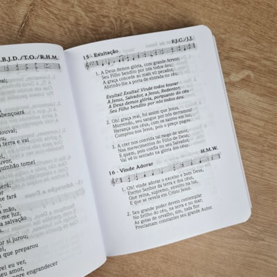 image_f32cbfd5-b69c-4b66-8e09-1c7c0a3b0fa1