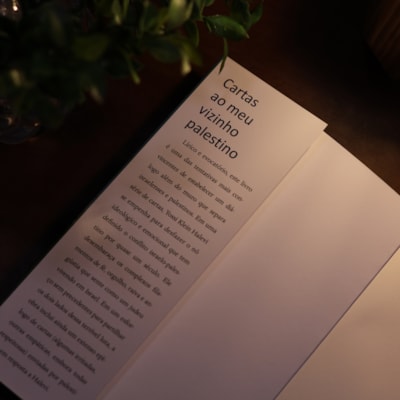 image_050377a0-689c-4dbc-b08d-ed86281ef753