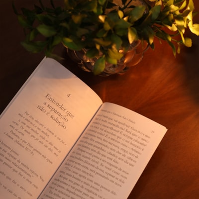 image_34066b20-fcf2-473f-a86d-bfb7402abe12