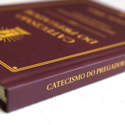 image_ea3ab93b-e887-48de-b67c-b51b1a2169de