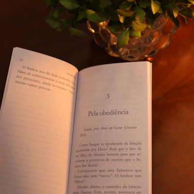 image_d90b1743-2086-400d-9e0d-2f8c6765ab27