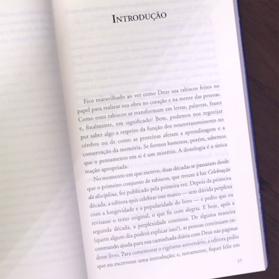 image_c33ef26d-56e8-40ee-aa44-3424a5b14e48