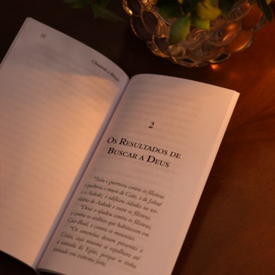 image_46f40b68-9f2e-440e-aa04-9788771707cb