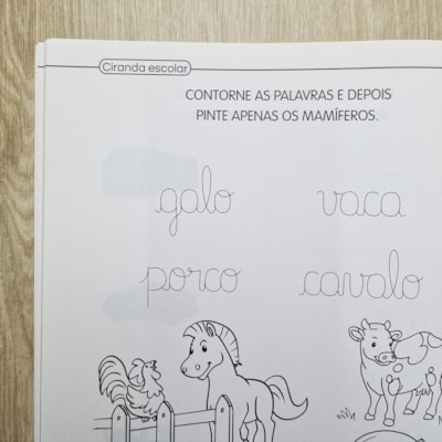 image_384ad34c-85fd-4ec8-9414-855de92332c2