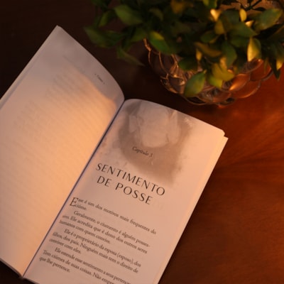 image_f9db4bc5-a156-48ef-9a5a-bce0715b28c2