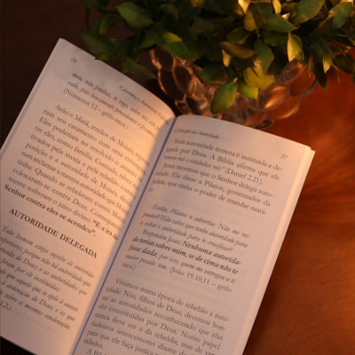 image_bc74caf9-f5c6-47a4-8635-b3eebbcce587